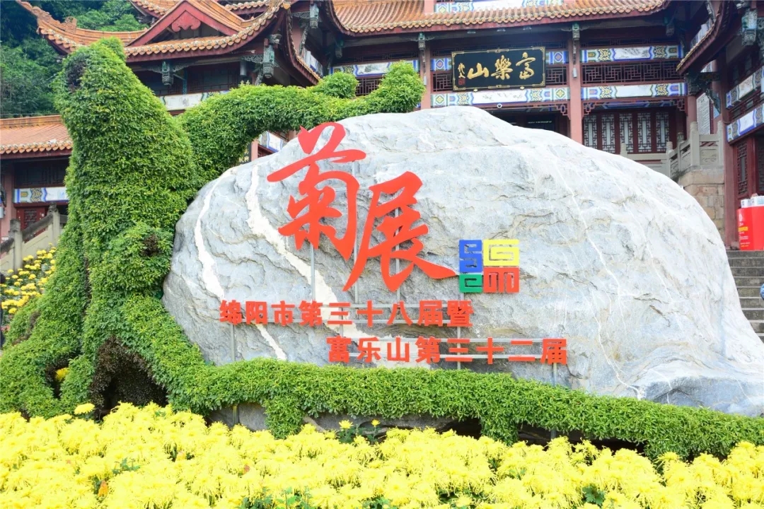 芳菊富乐耀,青松冠绵州~今年的富乐山菊展又和大家见面啦!